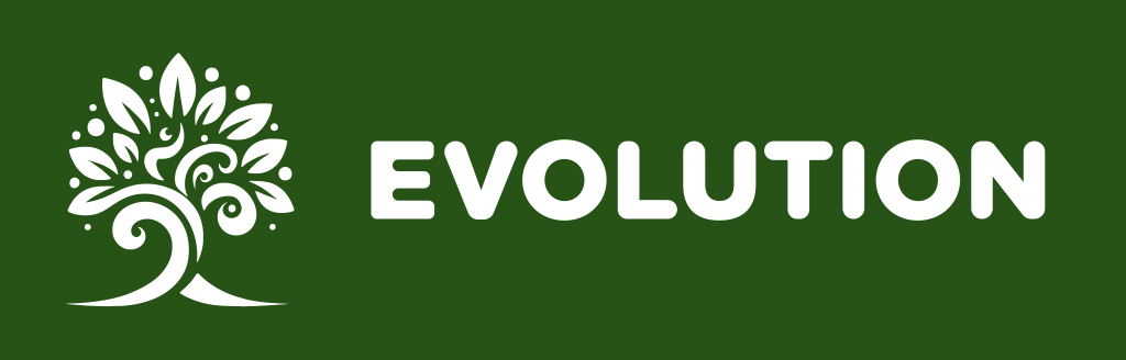 Chi Siamo - Evolution srl