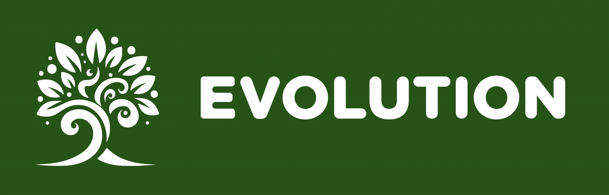 Chi Siamo - Evolution srl